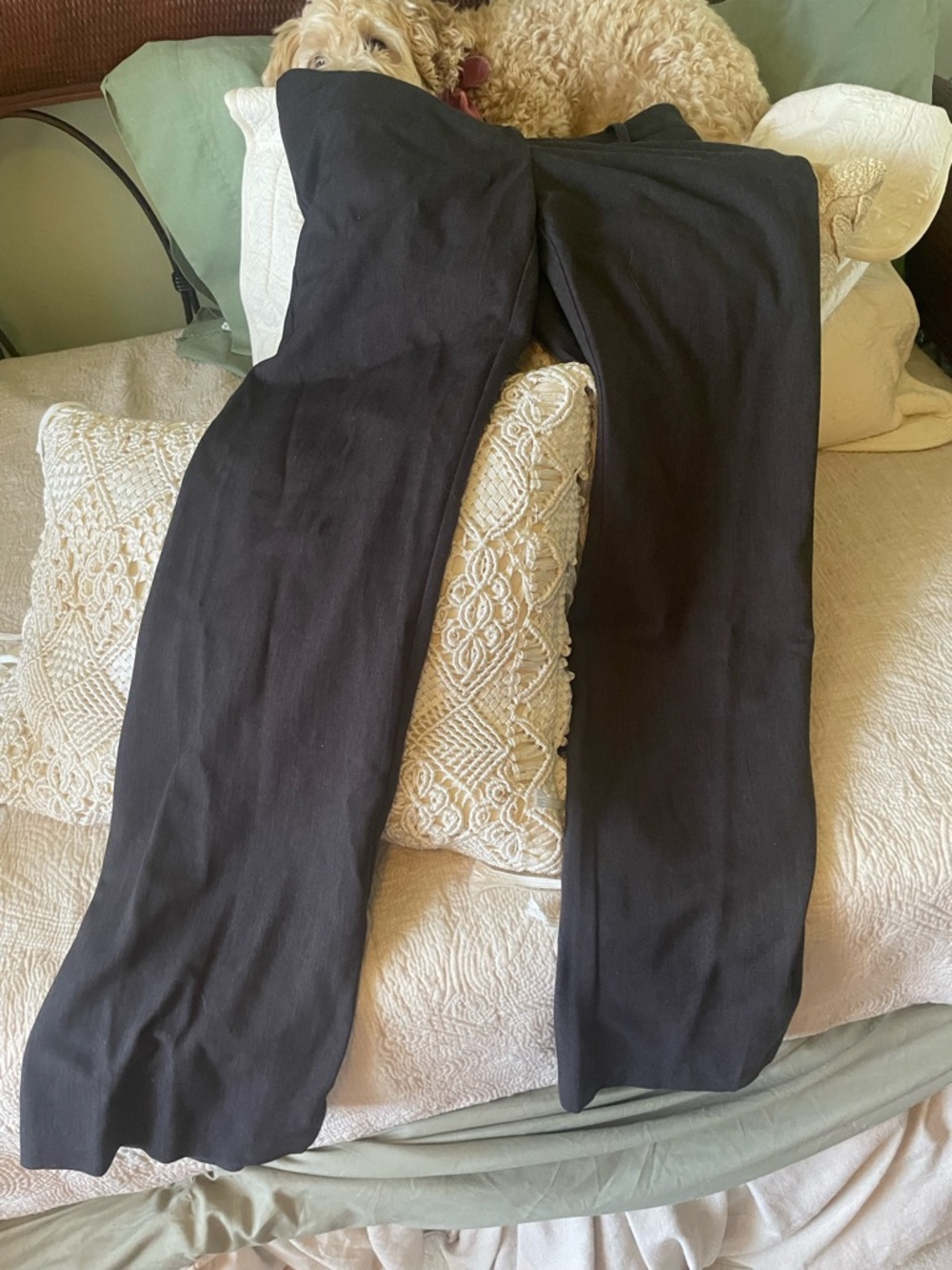 Apt. 9 Women's High Rise dark grey Jeans
